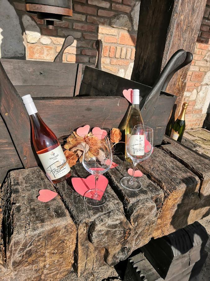 Penzion Sedlecka Vina Sedlec  Εξωτερικό φωτογραφία